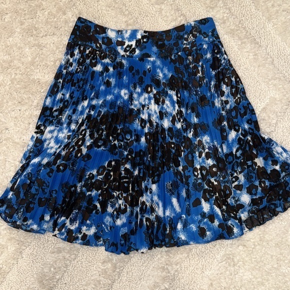 Ann Taylor Dresses & Skirts - Ann Taylor pleated skirt - size 6